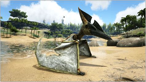 How to Tame Pteranodon. . Ark pteranodon taming food